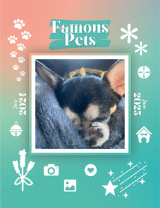 Famous Pets: June 2024-June 2025 Wall Calendar (Pre-Order)