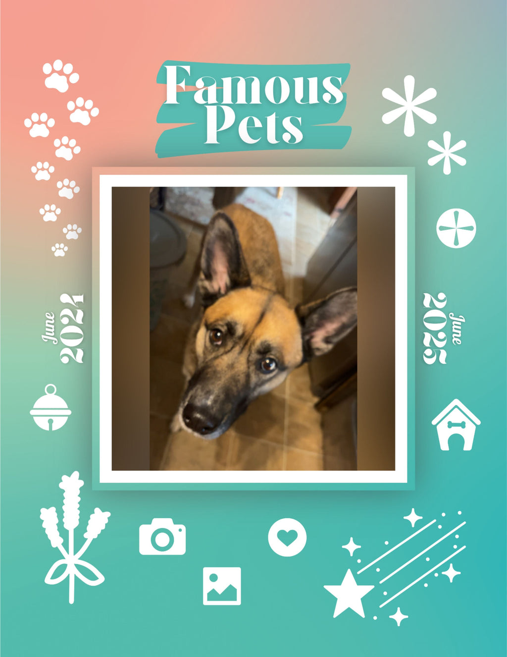 Famous Pets: June 2024-June 2025 Wall Calendar (Pre-Order)