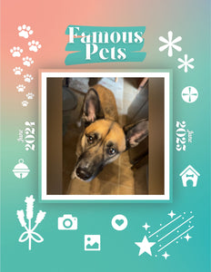 Famous Pets: June 2024-June 2025 Wall Calendar (Pre-Order)