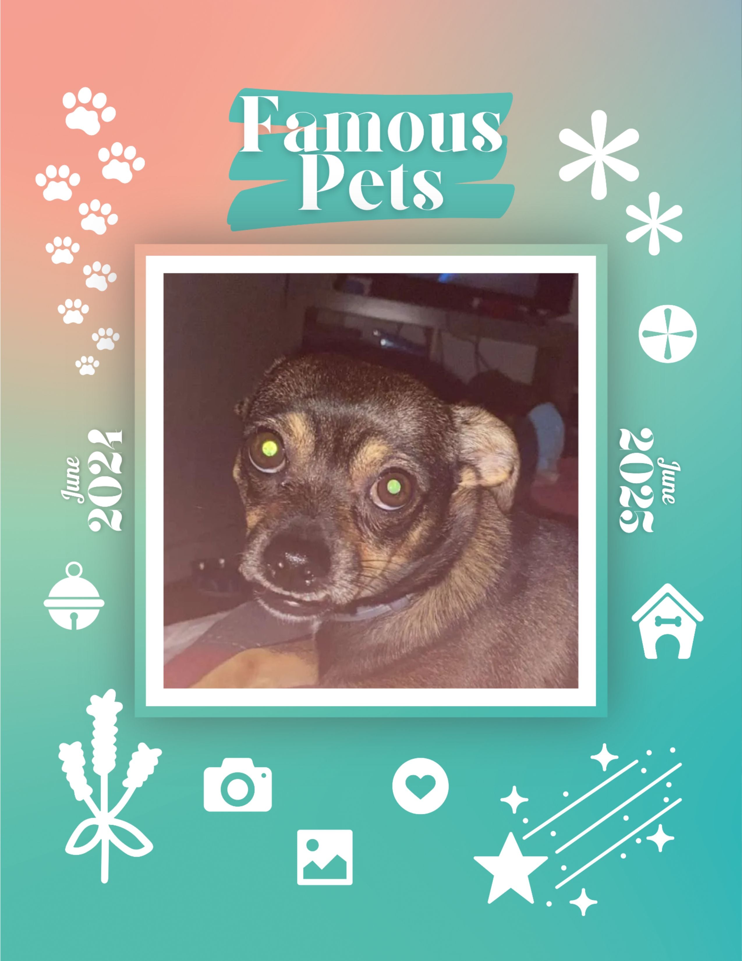 Famous Pets: June 2024-June 2025 Wall Calendar (Pre-Order)