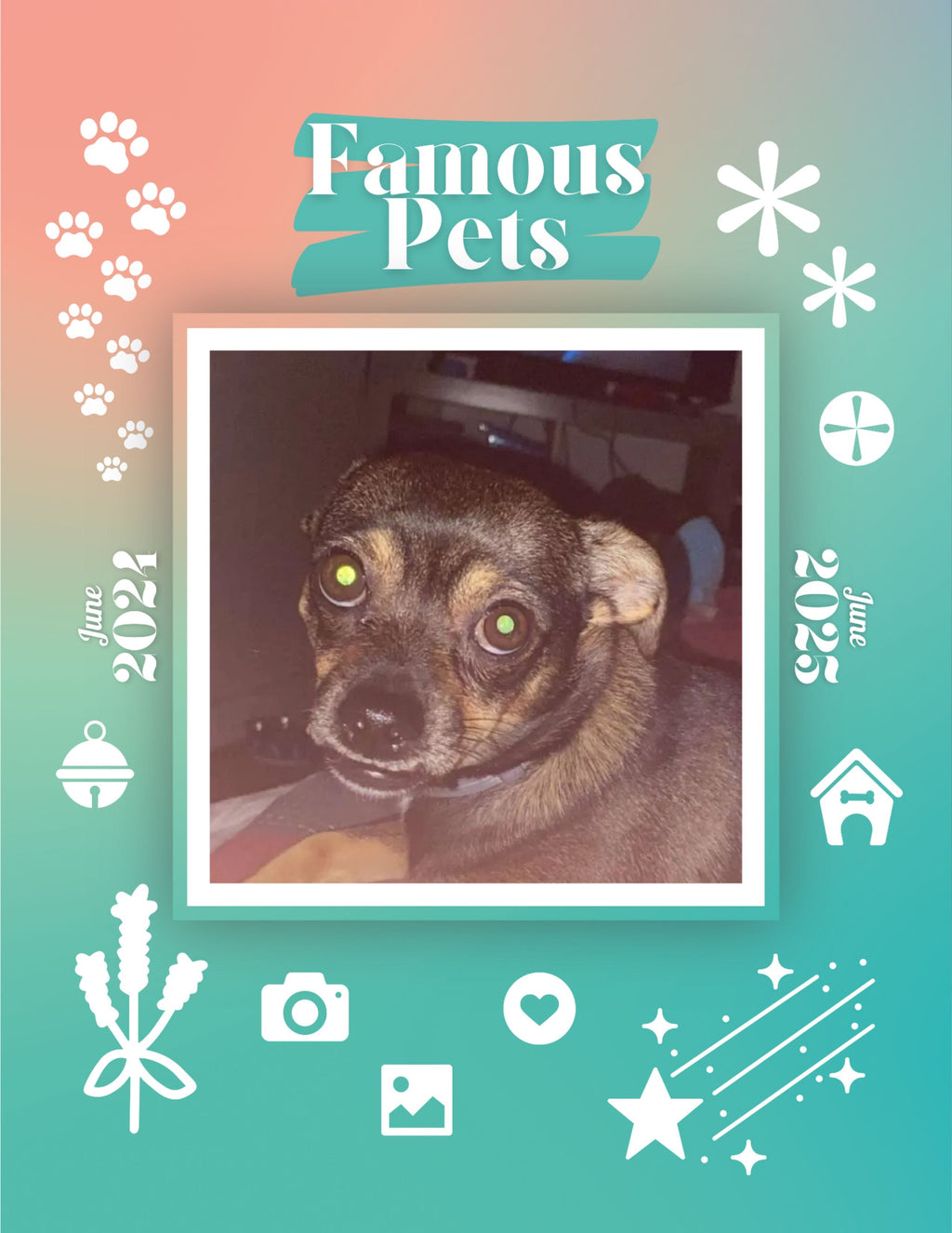 Famous Pets: June 2024-June 2025 Wall Calendar (Pre-Order)