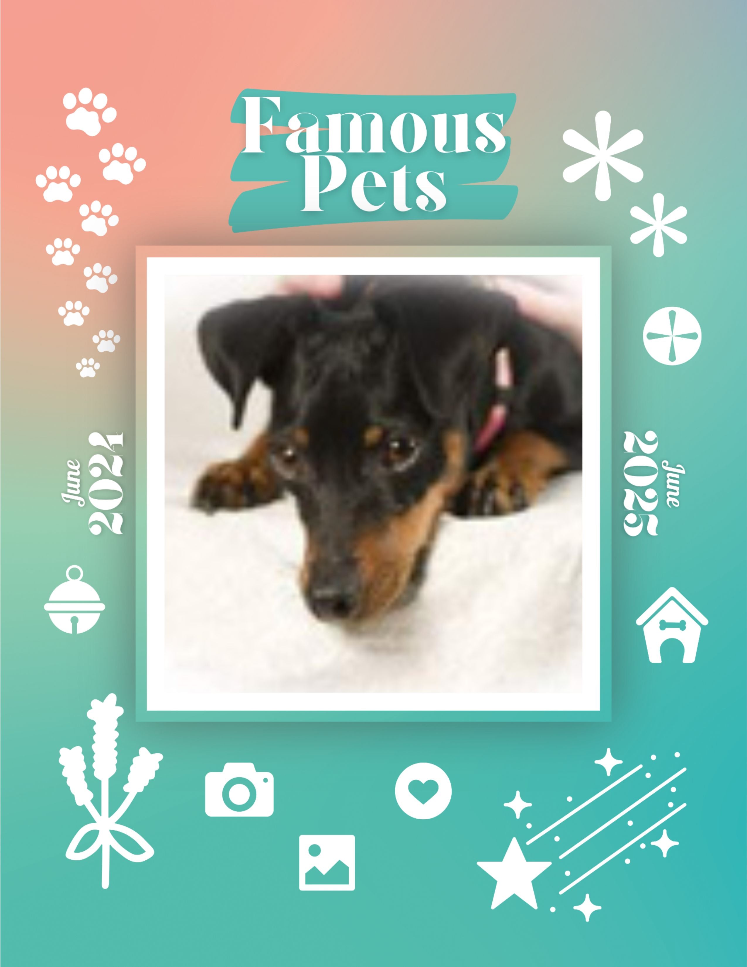 Famous Pets: June 2024-June 2025 Wall Calendar (Pre-Order)