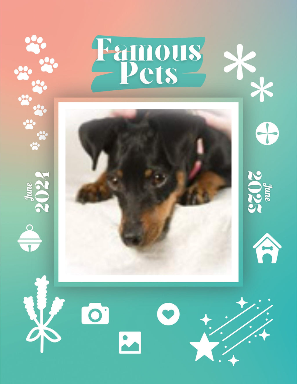Famous Pets: June 2024-June 2025 Wall Calendar (Pre-Order)