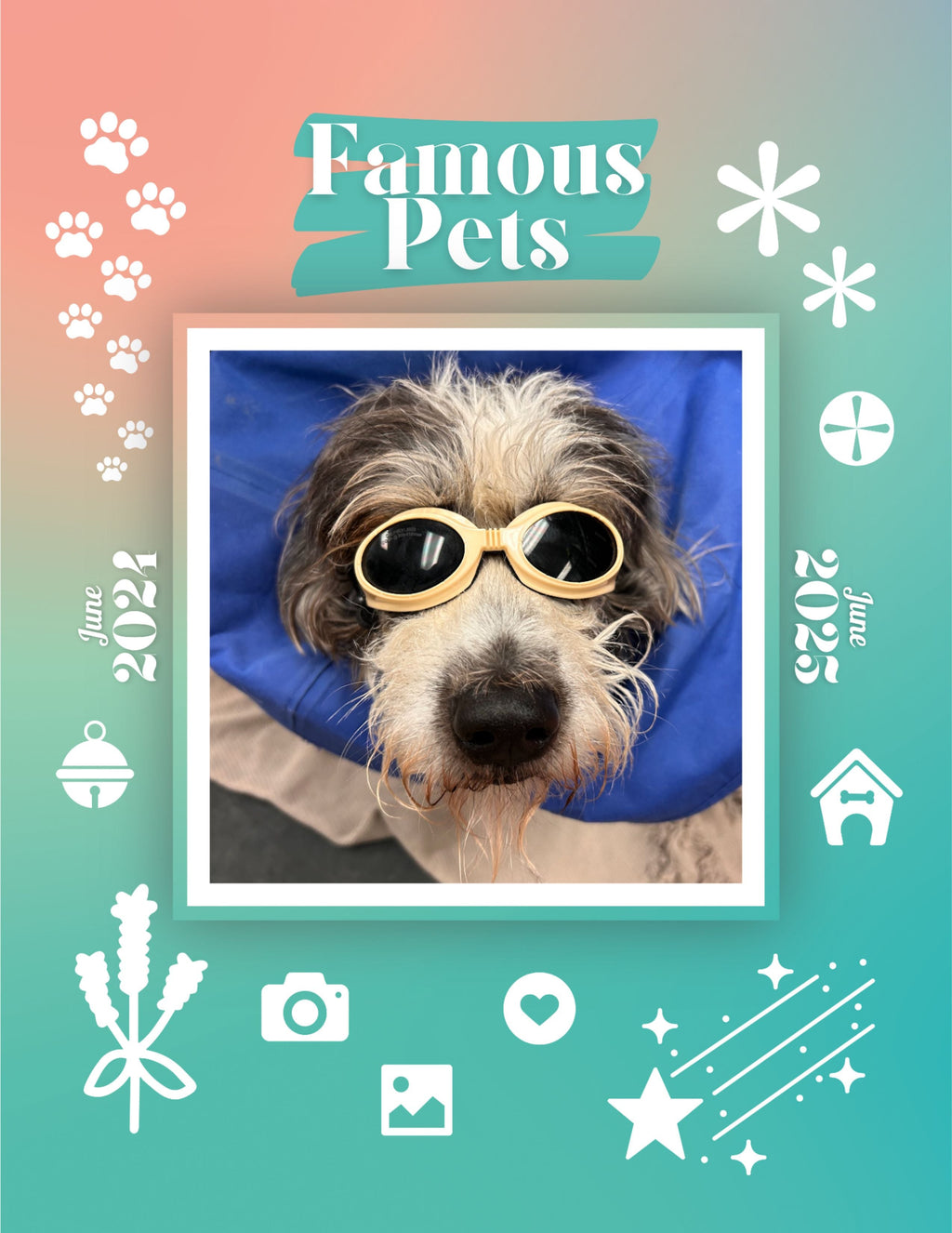 Famous Pets: June 2024-June 2025 Wall Calendar (Pre-Order)