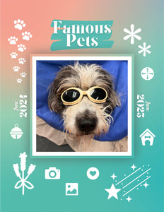 Famous Pets: June 2024-June 2025 Wall Calendar (Pre-Order)
