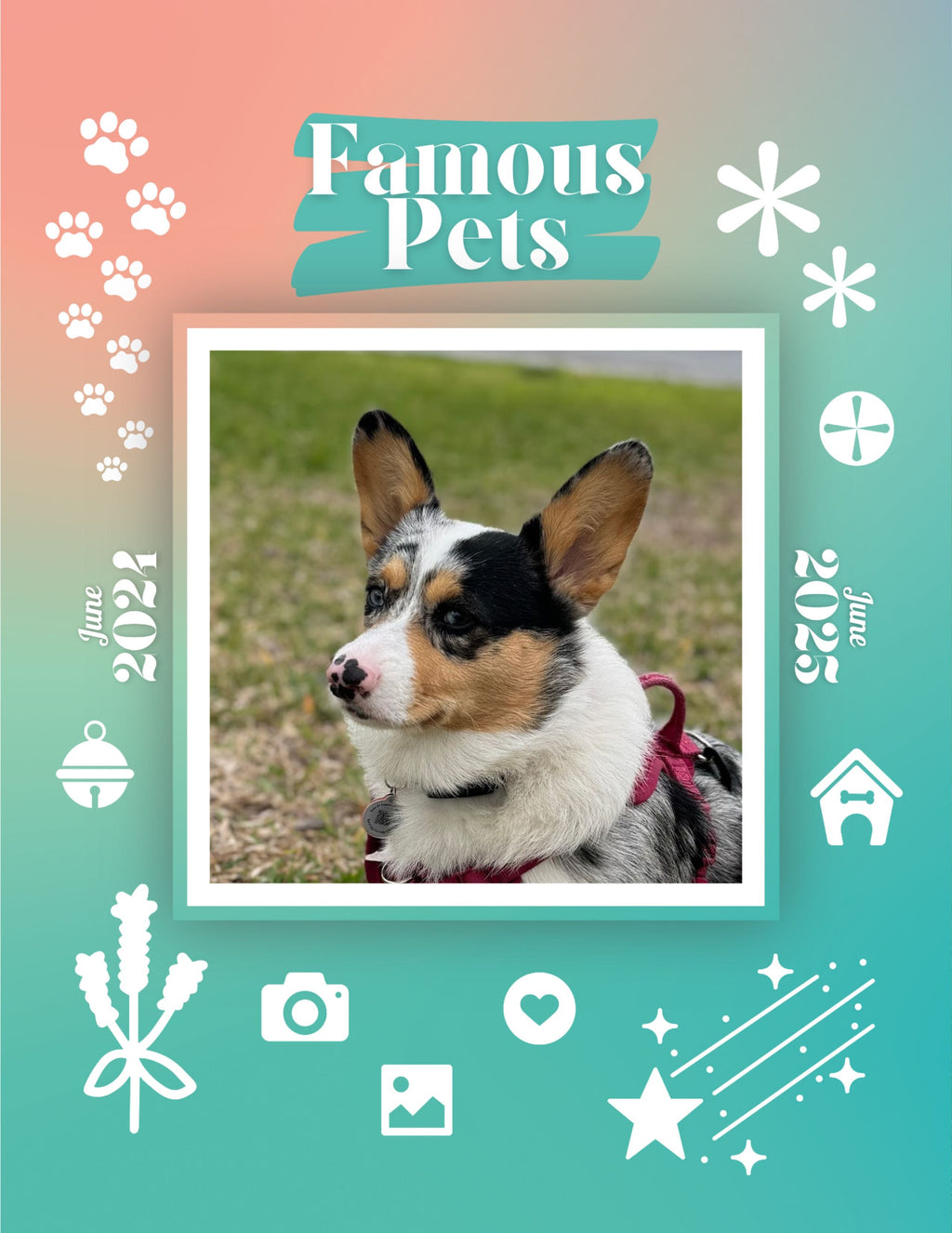 Famous Pets: June 2024-June 2025 Wall Calendar (Pre-Order)