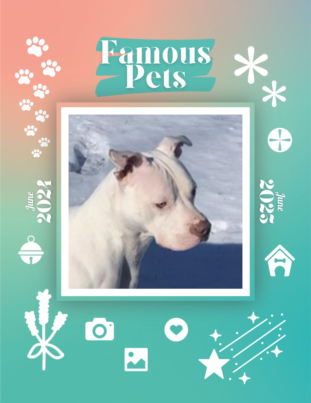 Famous Pets: June 2024-June 2025 Wall Calendar (Pre-Order)