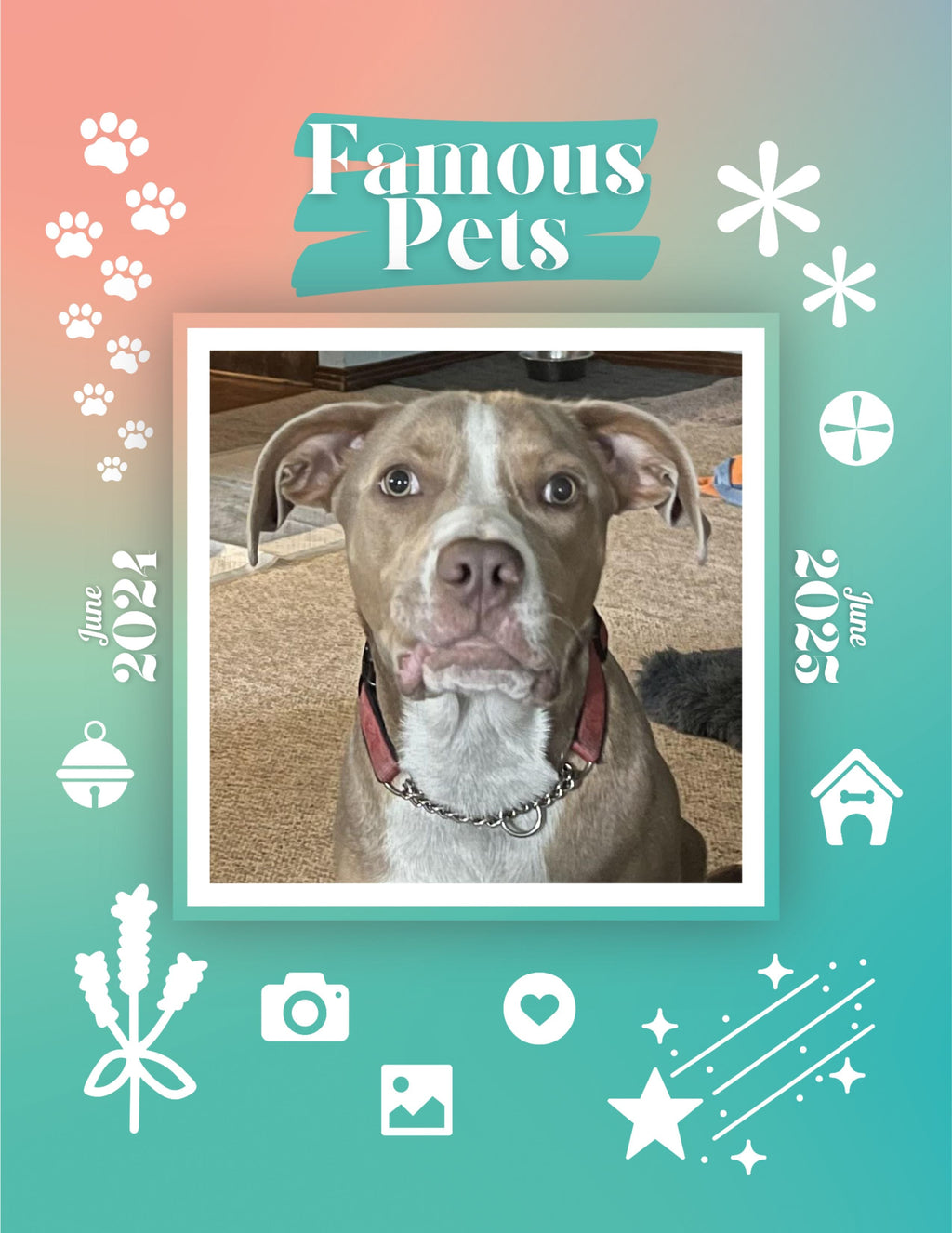 Famous Pets: June 2024-June 2025 Wall Calendar (Pre-Order)