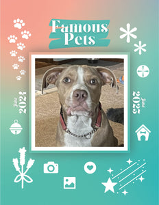 Famous Pets: June 2024-June 2025 Wall Calendar (Pre-Order)