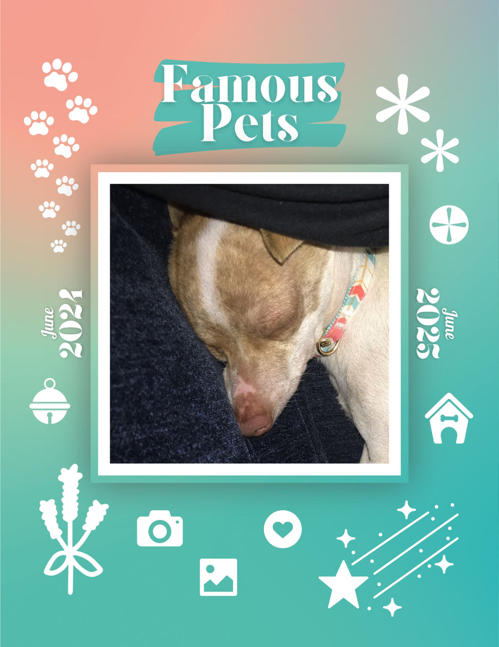 Famous Pets: June 2024-June 2025 Wall Calendar (Pre-Order)