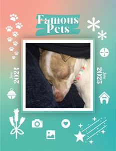 Famous Pets: June 2024-June 2025 Wall Calendar (Pre-Order)