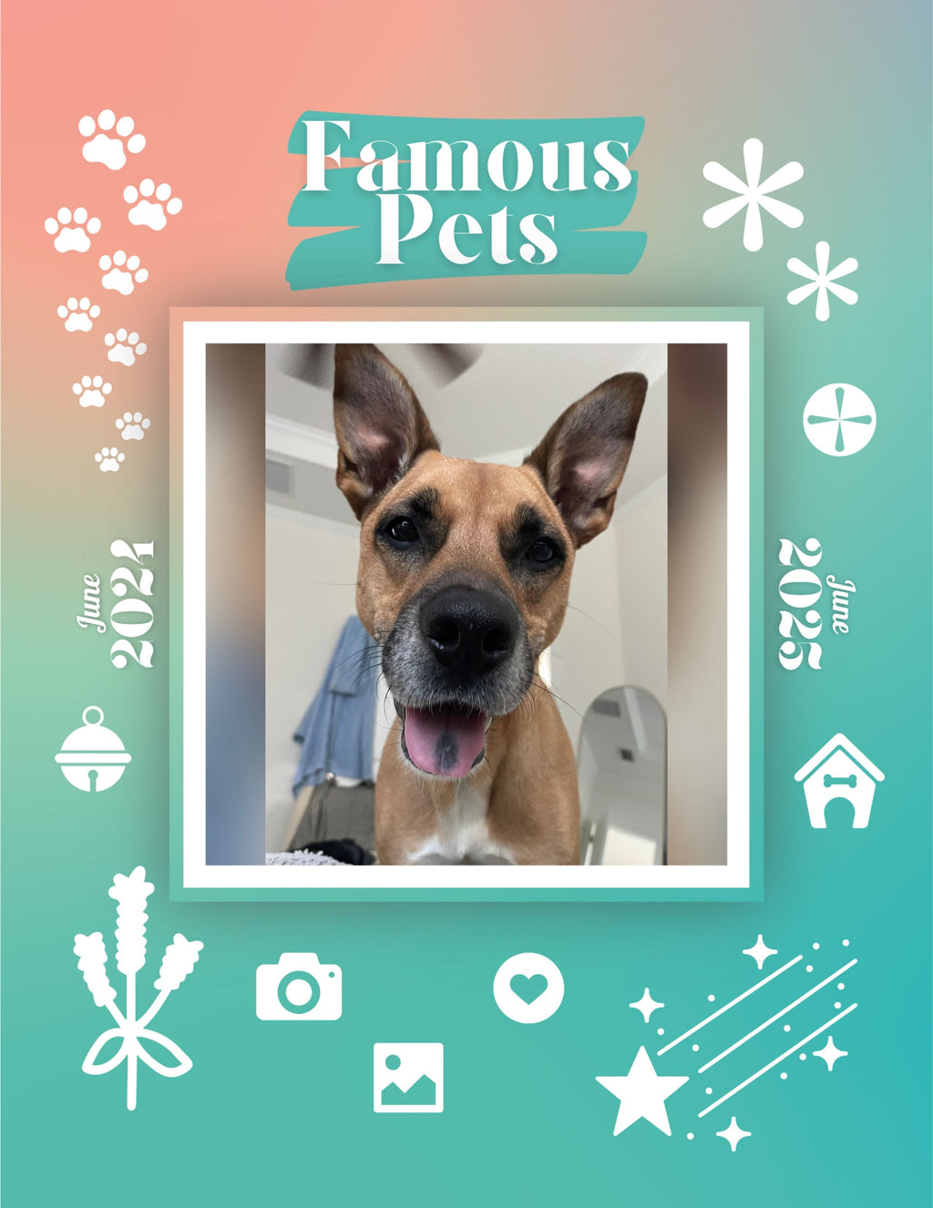 Famous Pets: June 2024-June 2025 Wall Calendar (Pre-Order)