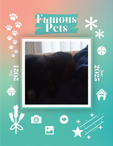 Famous Pets: June 2024-June 2025 Wall Calendar (Pre-Order)