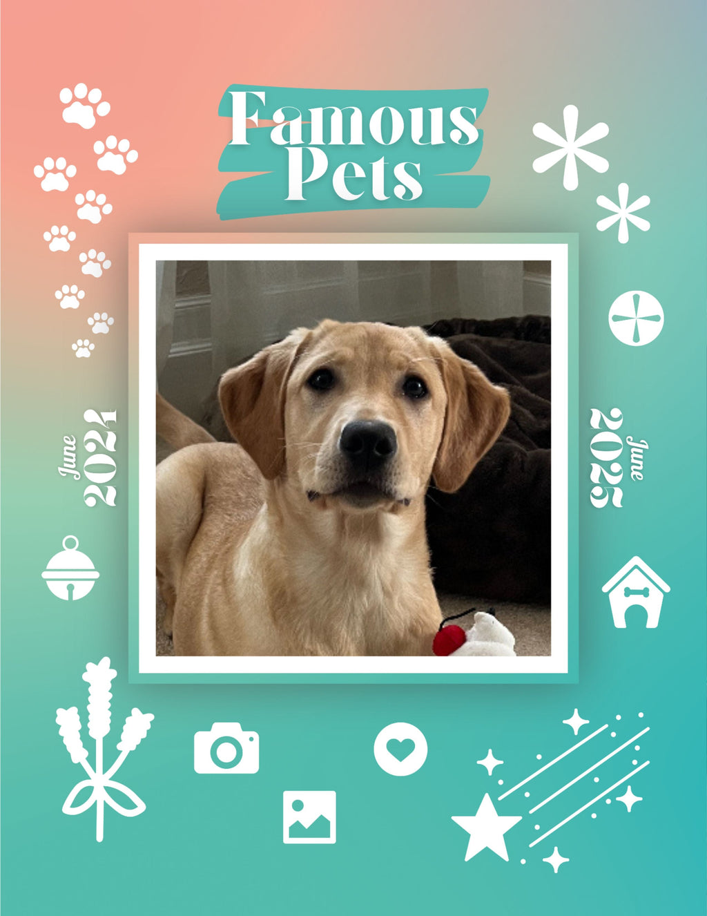 Famous Pets: June 2024-June 2025 Wall Calendar (Pre-Order)