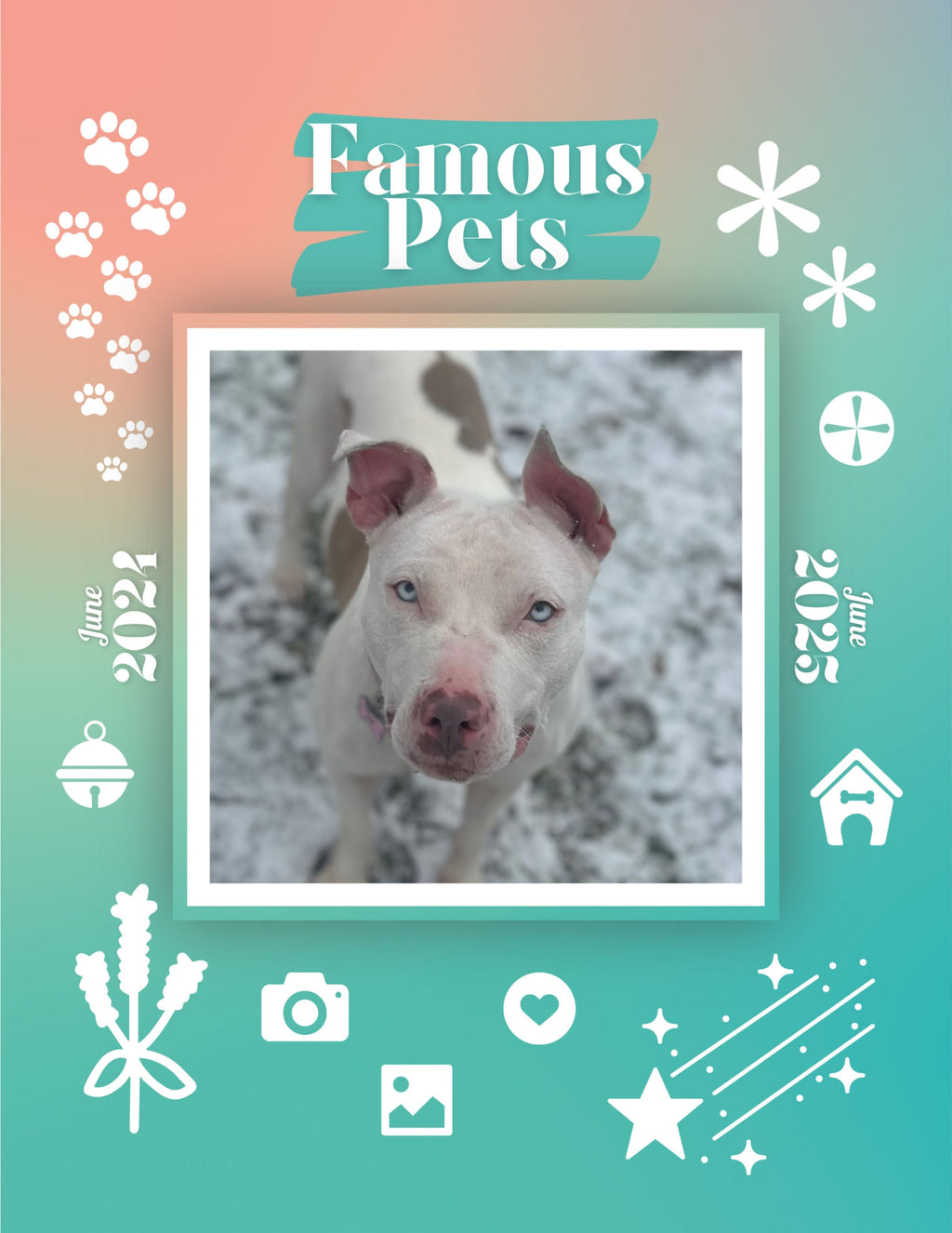 Famous Pets: June 2024-June 2025 Wall Calendar (Pre-Order)