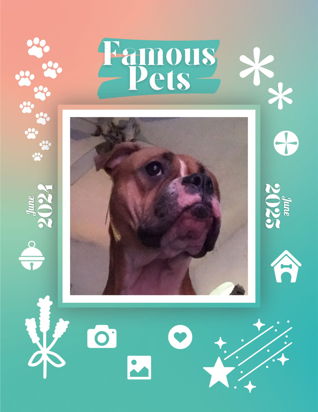 Famous Pets: June 2024-June 2025 Wall Calendar (Pre-Order)