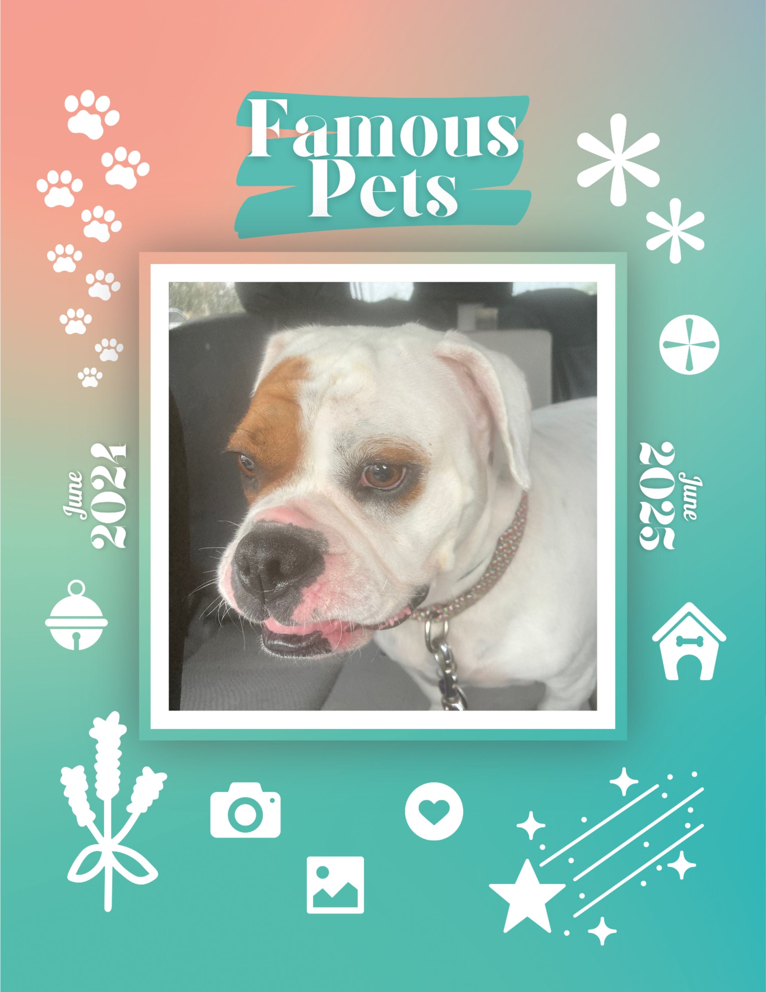 Famous Pets: June 2024-June 2025 Wall Calendar (Pre-Order)