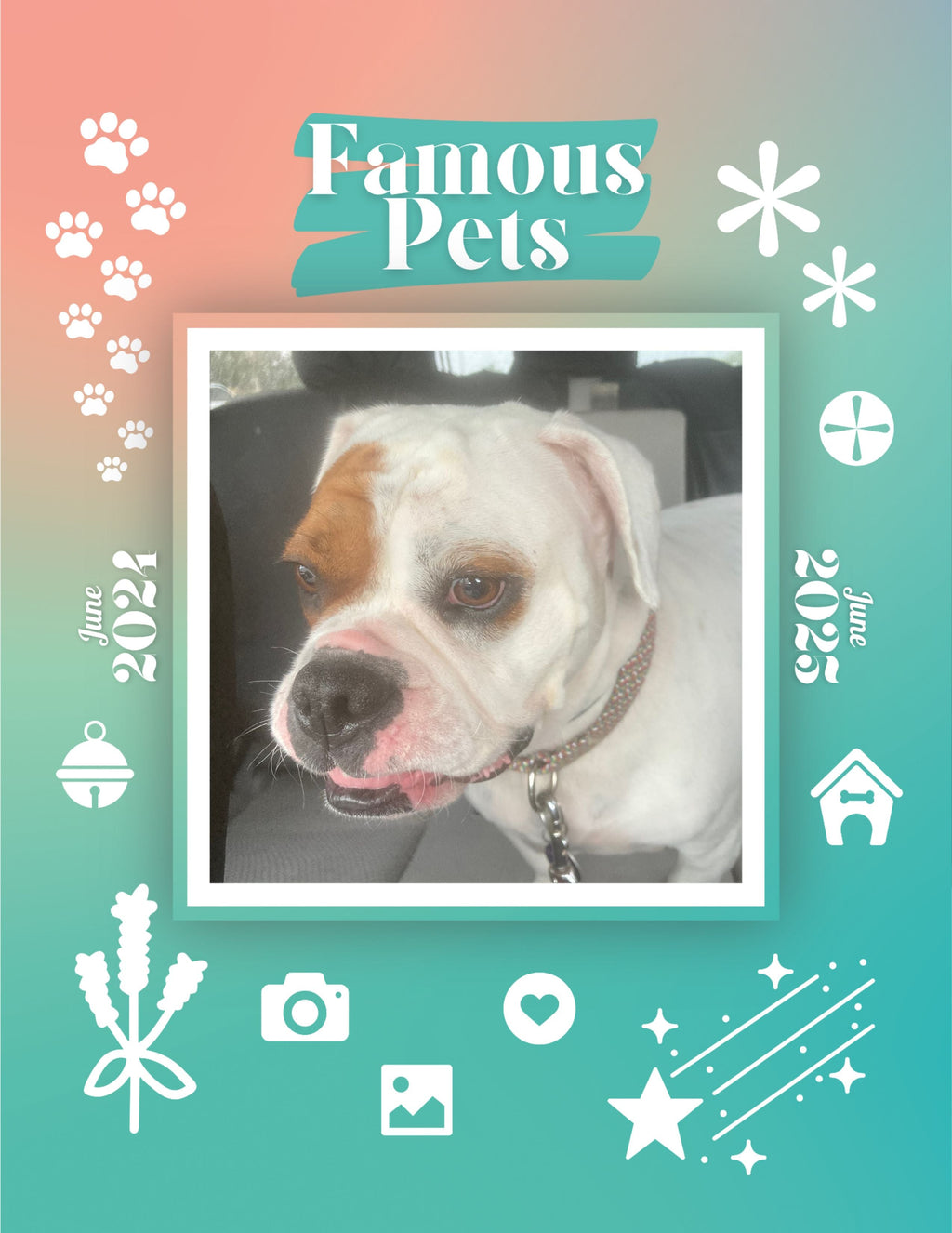 Famous Pets: June 2024-June 2025 Wall Calendar (Pre-Order)