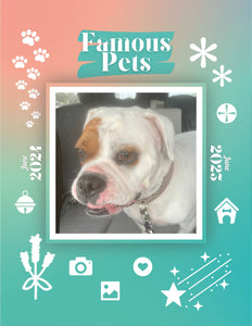 Famous Pets: June 2024-June 2025 Wall Calendar (Pre-Order)