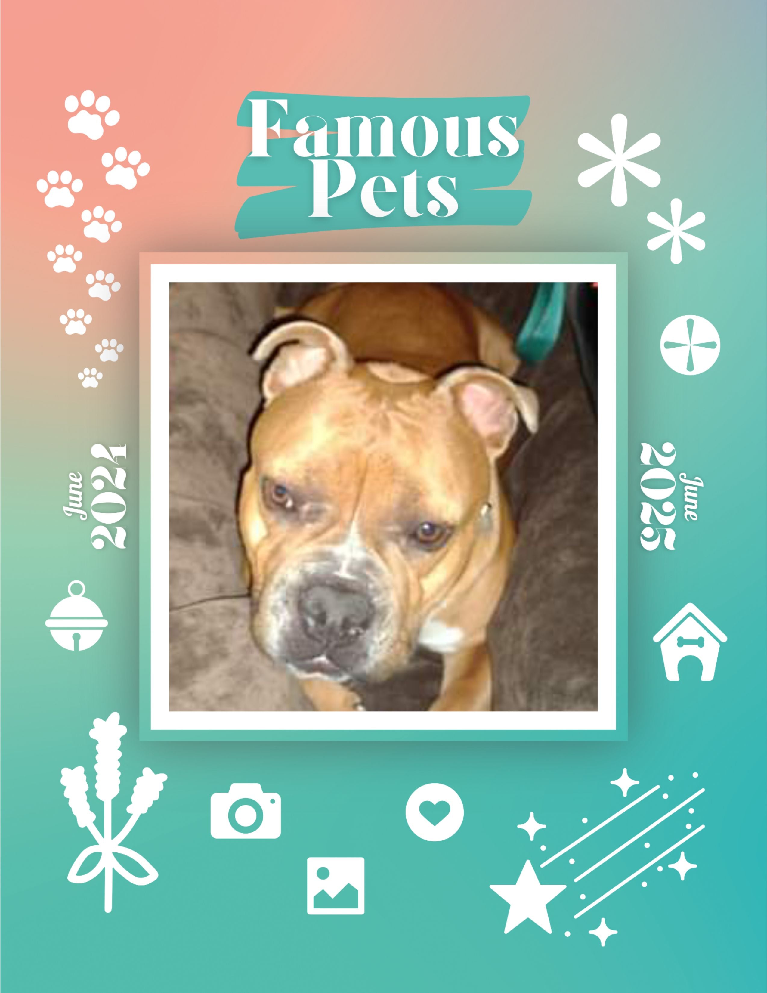 Famous Pets: June 2024-June 2025 Wall Calendar (Pre-Order)