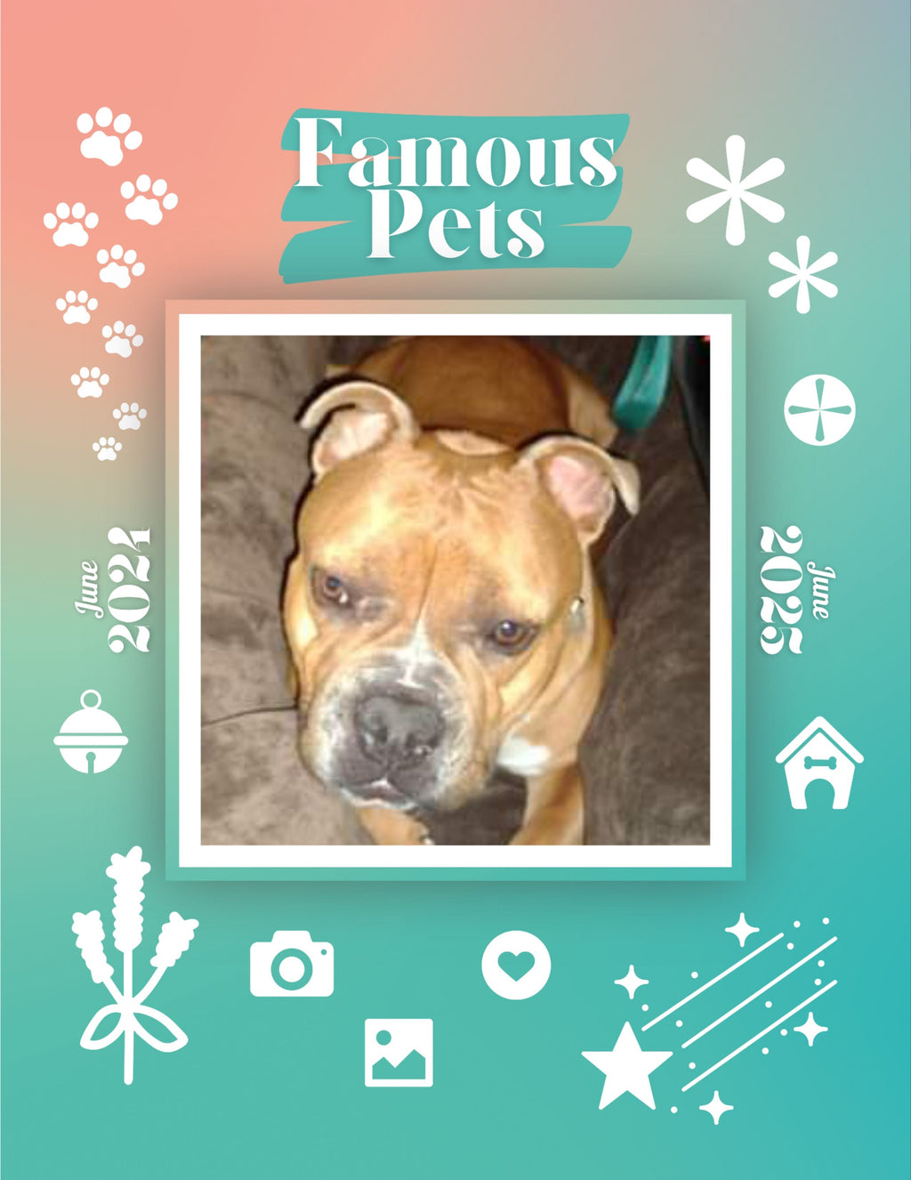 Famous Pets: June 2024-June 2025 Wall Calendar (Pre-Order)