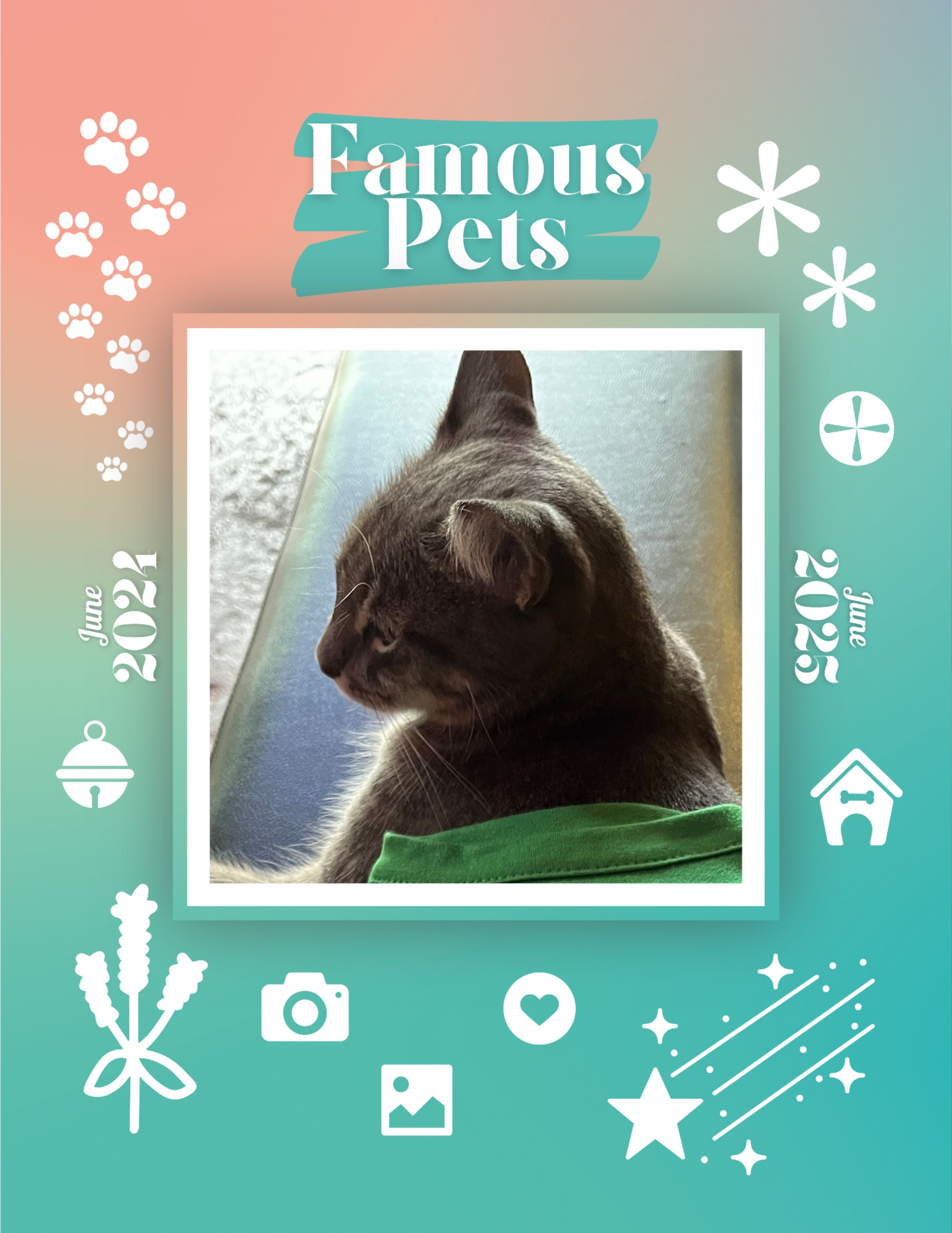 Famous Pets: June 2024-June 2025 Wall Calendar (Pre-Order)