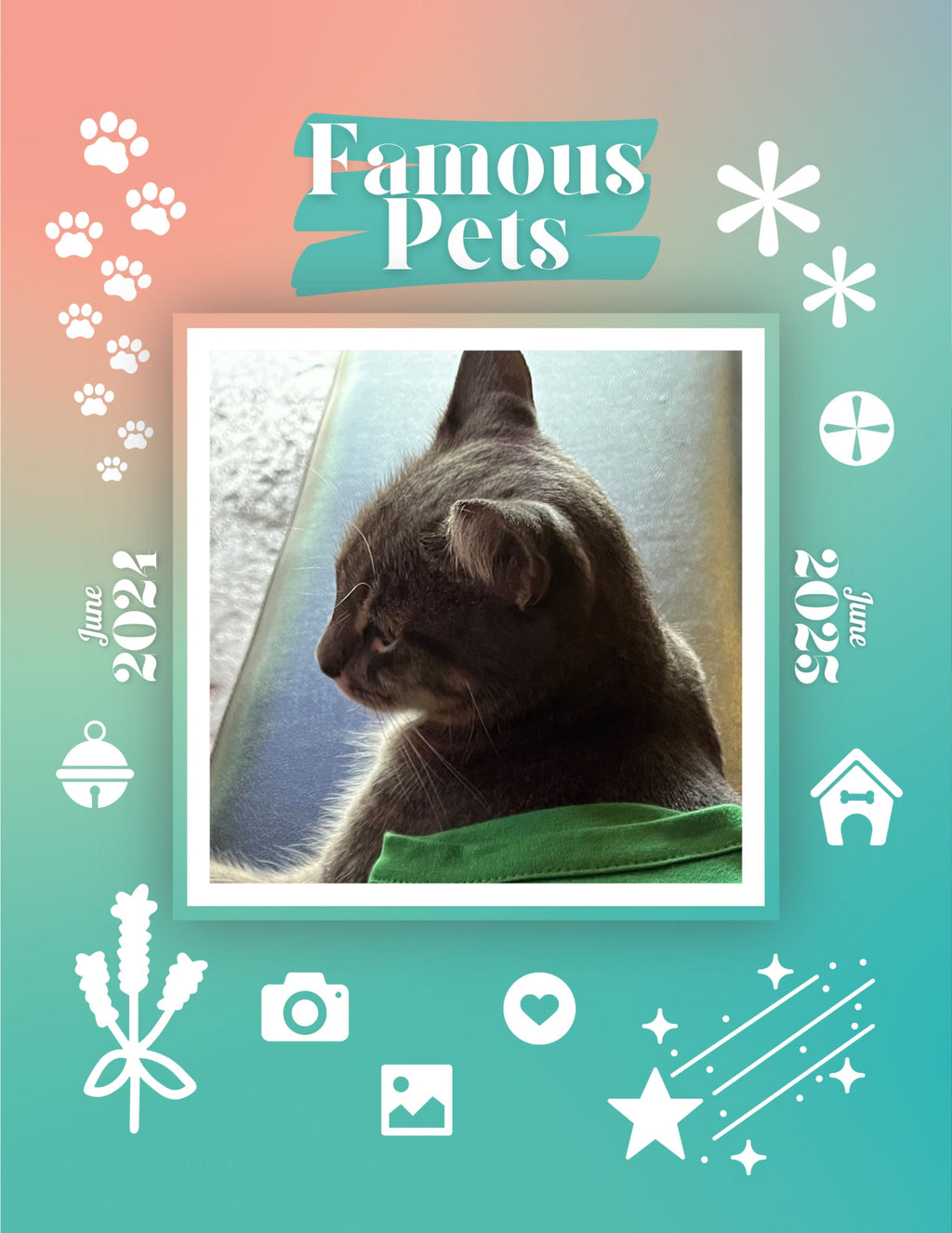 Famous Pets: June 2024-June 2025 Wall Calendar (Pre-Order)