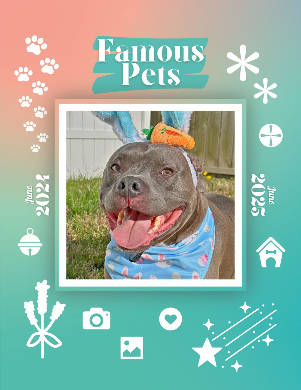 Famous Pets: June 2024-June 2025 Wall Calendar (Pre-Order)