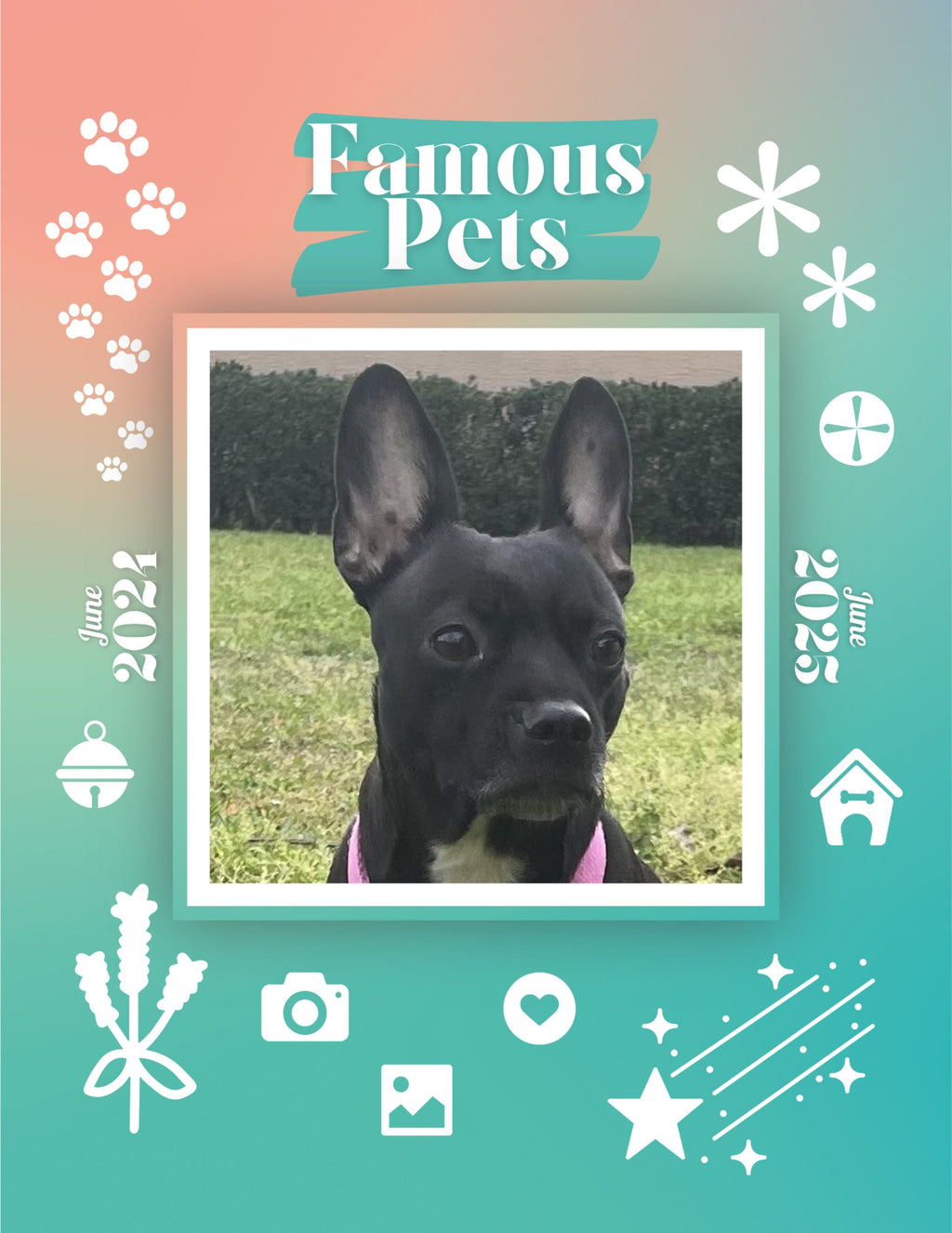 Famous Pets: June 2024-June 2025 Wall Calendar (Pre-Order)