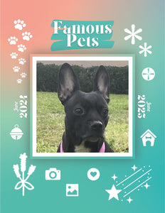 Famous Pets: June 2024-June 2025 Wall Calendar (Pre-Order)