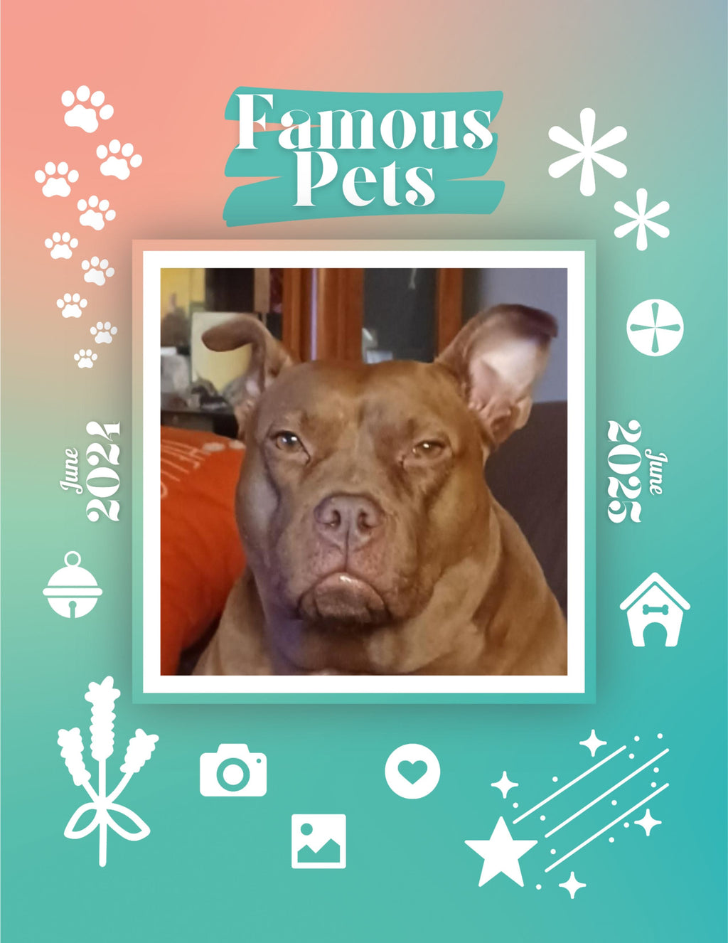 Famous Pets: June 2024-June 2025 Wall Calendar (Pre-Order)
