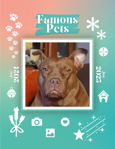 Famous Pets: June 2024-June 2025 Wall Calendar (Pre-Order)