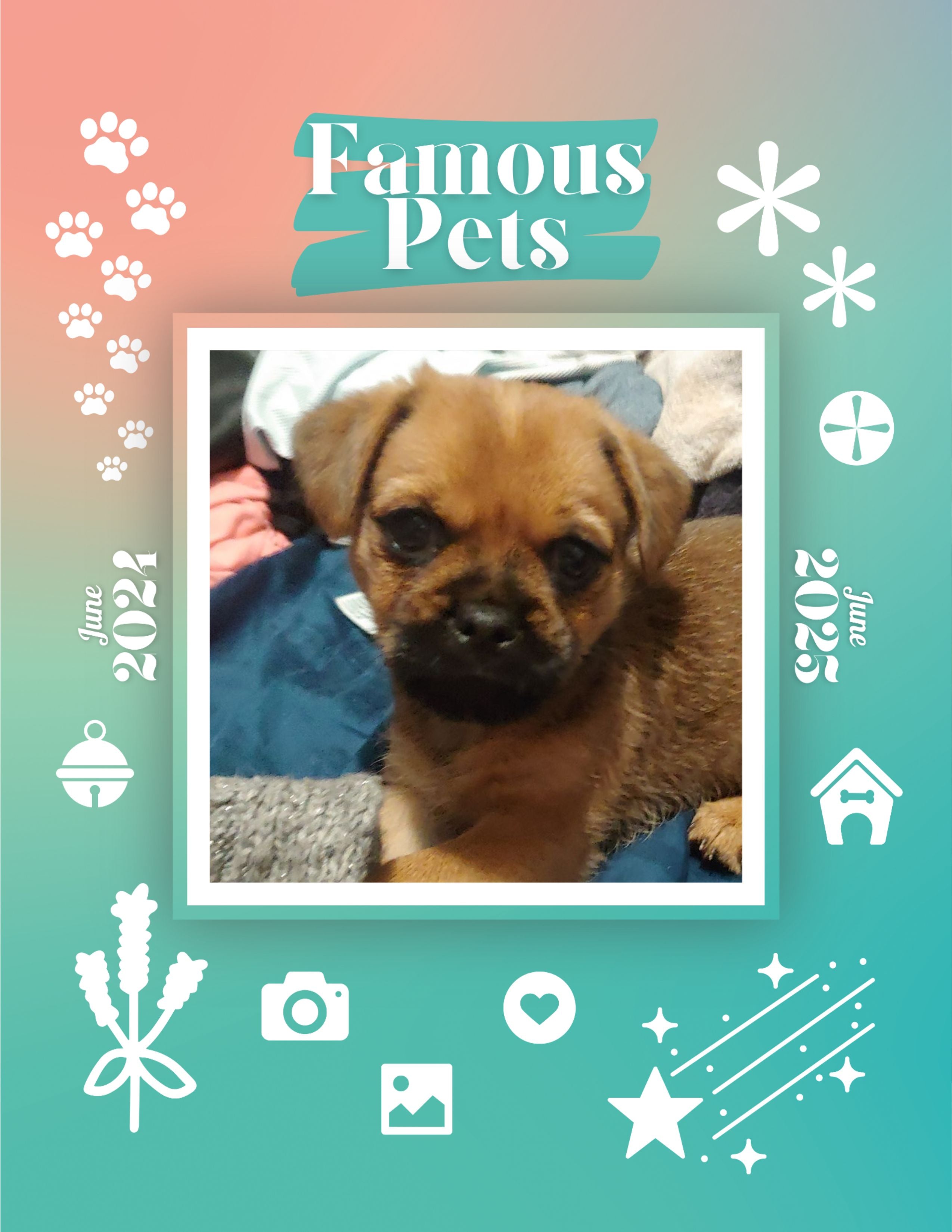 Famous Pets: June 2024-June 2025 Wall Calendar (Pre-Order)