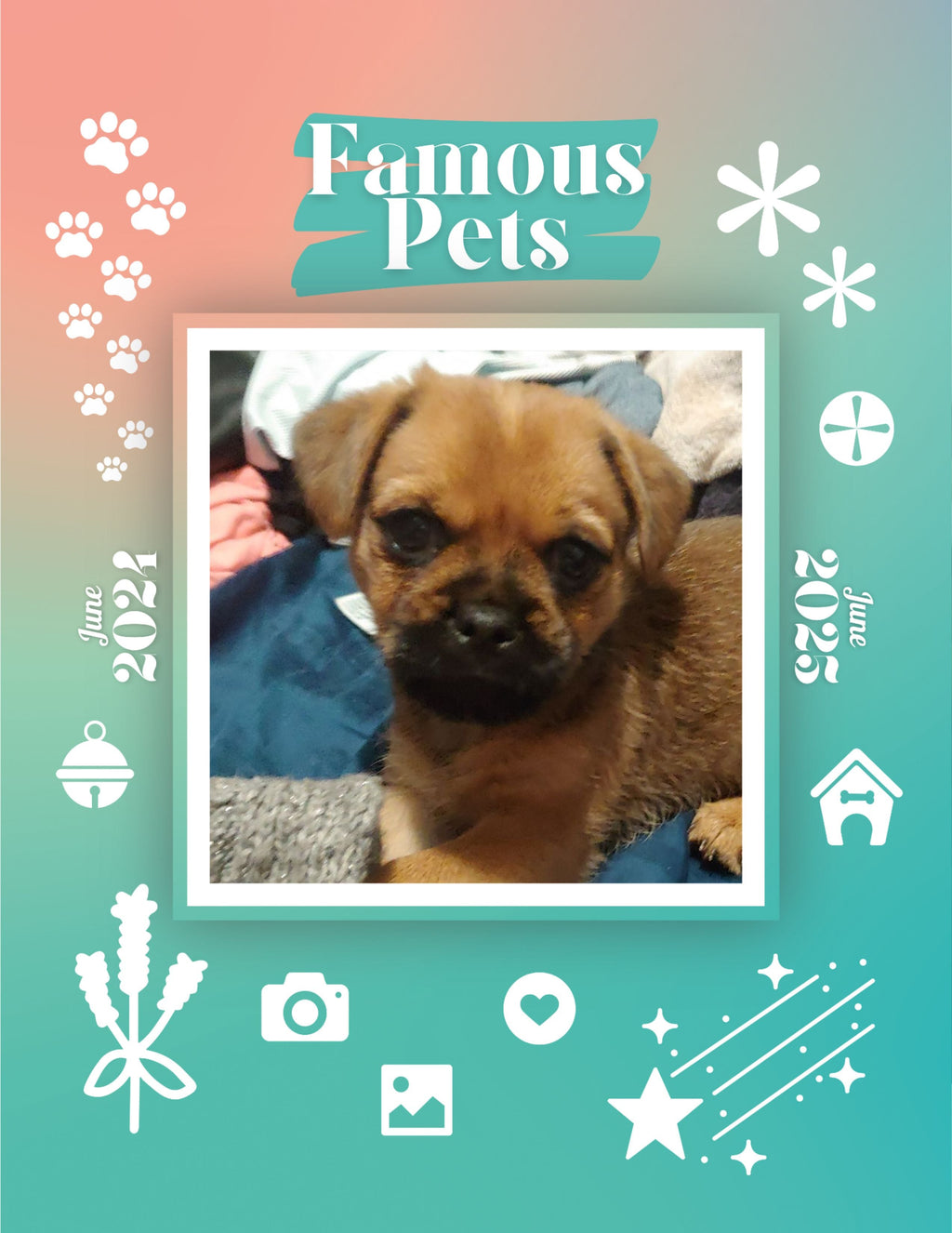 Famous Pets: June 2024-June 2025 Wall Calendar (Pre-Order)