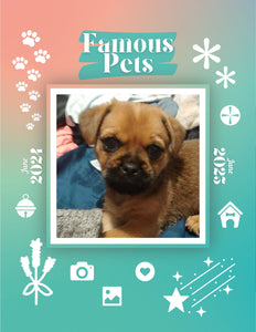 Famous Pets: June 2024-June 2025 Wall Calendar (Pre-Order)