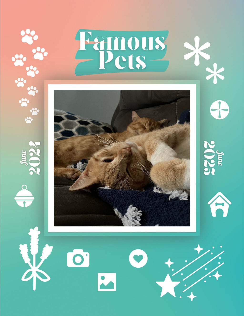Famous Pets: June 2024-June 2025 Wall Calendar (Pre-Order)