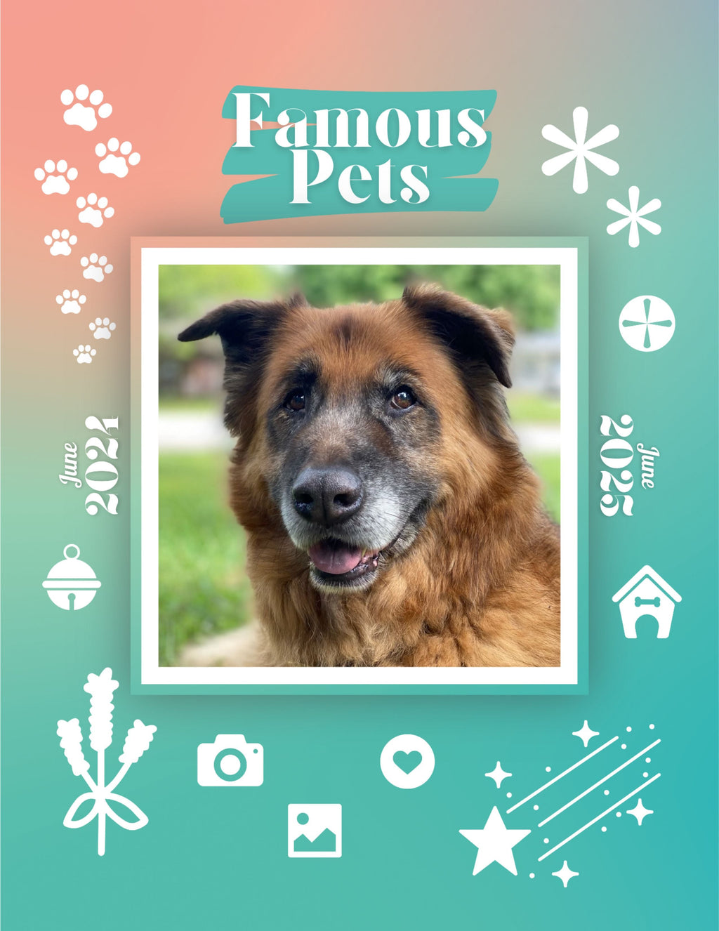 Famous Pets: June 2024-June 2025 Wall Calendar (Pre-Order)