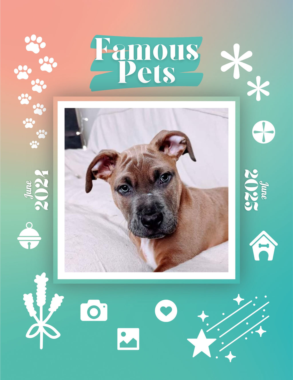 Famous Pets: June 2024-June 2025 Wall Calendar (Pre-Order)