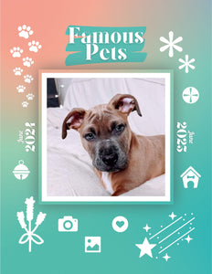 Famous Pets: June 2024-June 2025 Wall Calendar (Pre-Order)