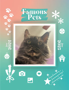 Famous Pets: June 2024-June 2025 Wall Calendar (Pre-Order)