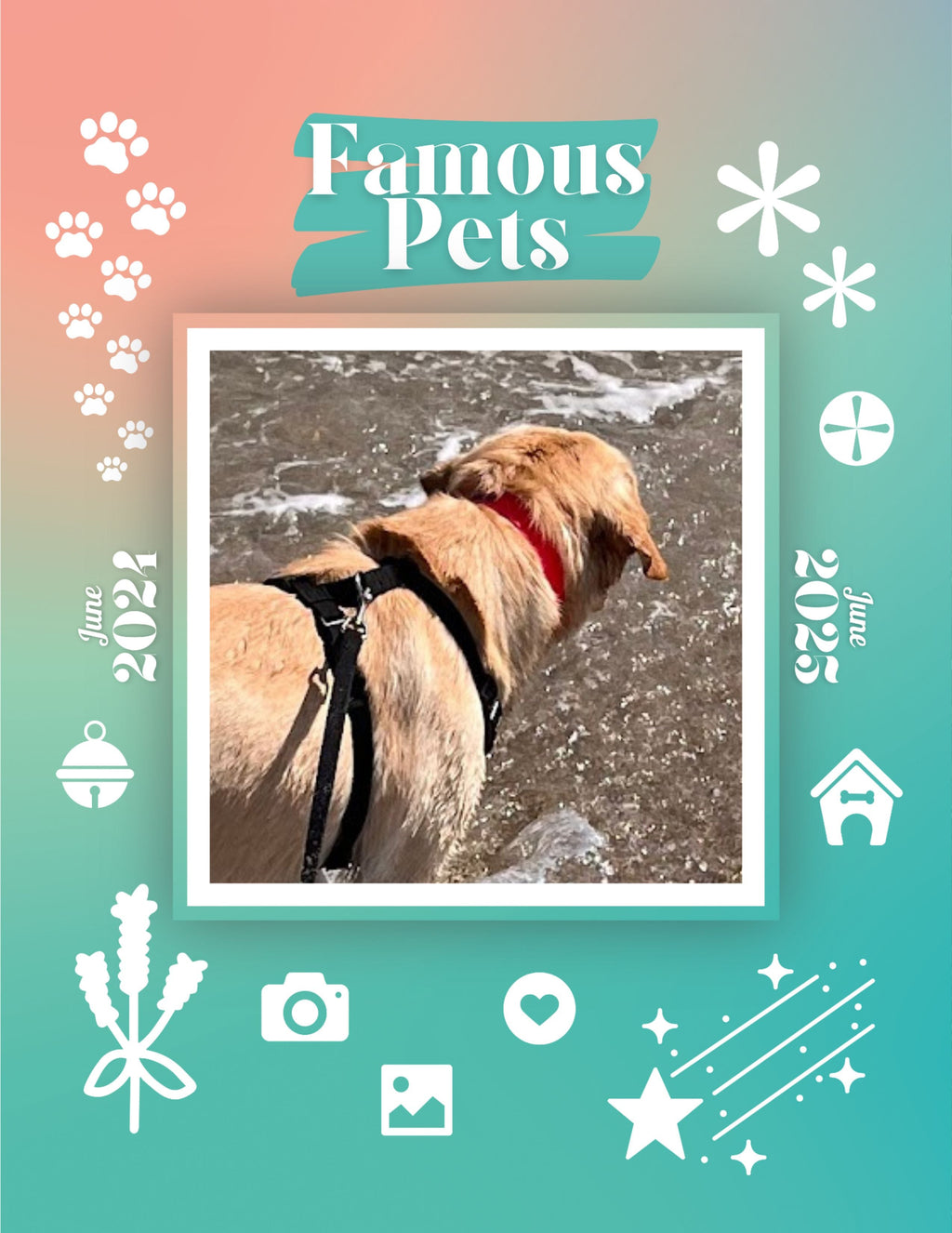 Famous Pets: June 2024-June 2025 Wall Calendar (Pre-Order)