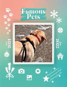 Famous Pets: June 2024-June 2025 Wall Calendar (Pre-Order)