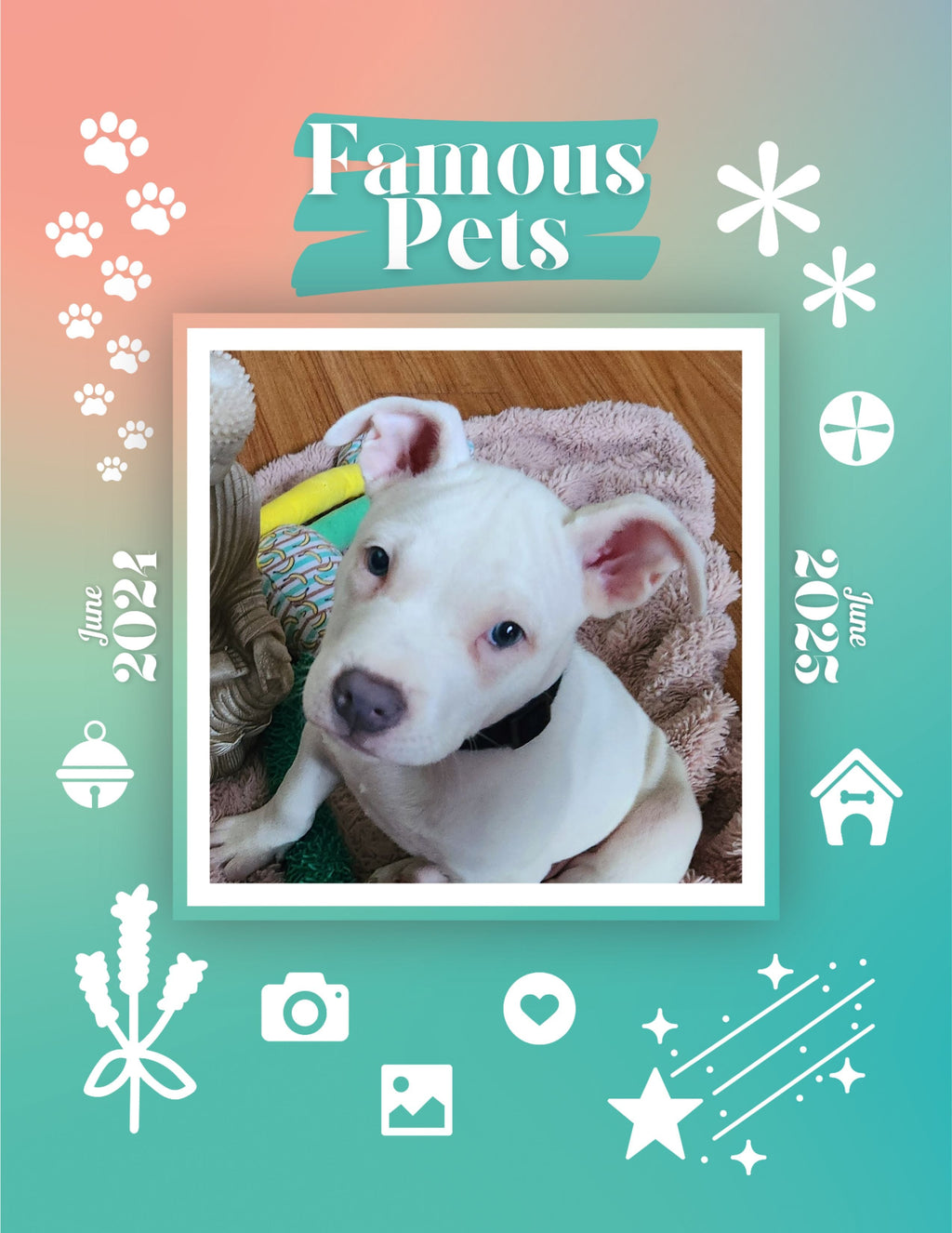 Famous Pets: June 2024-June 2025 Wall Calendar (Pre-Order)