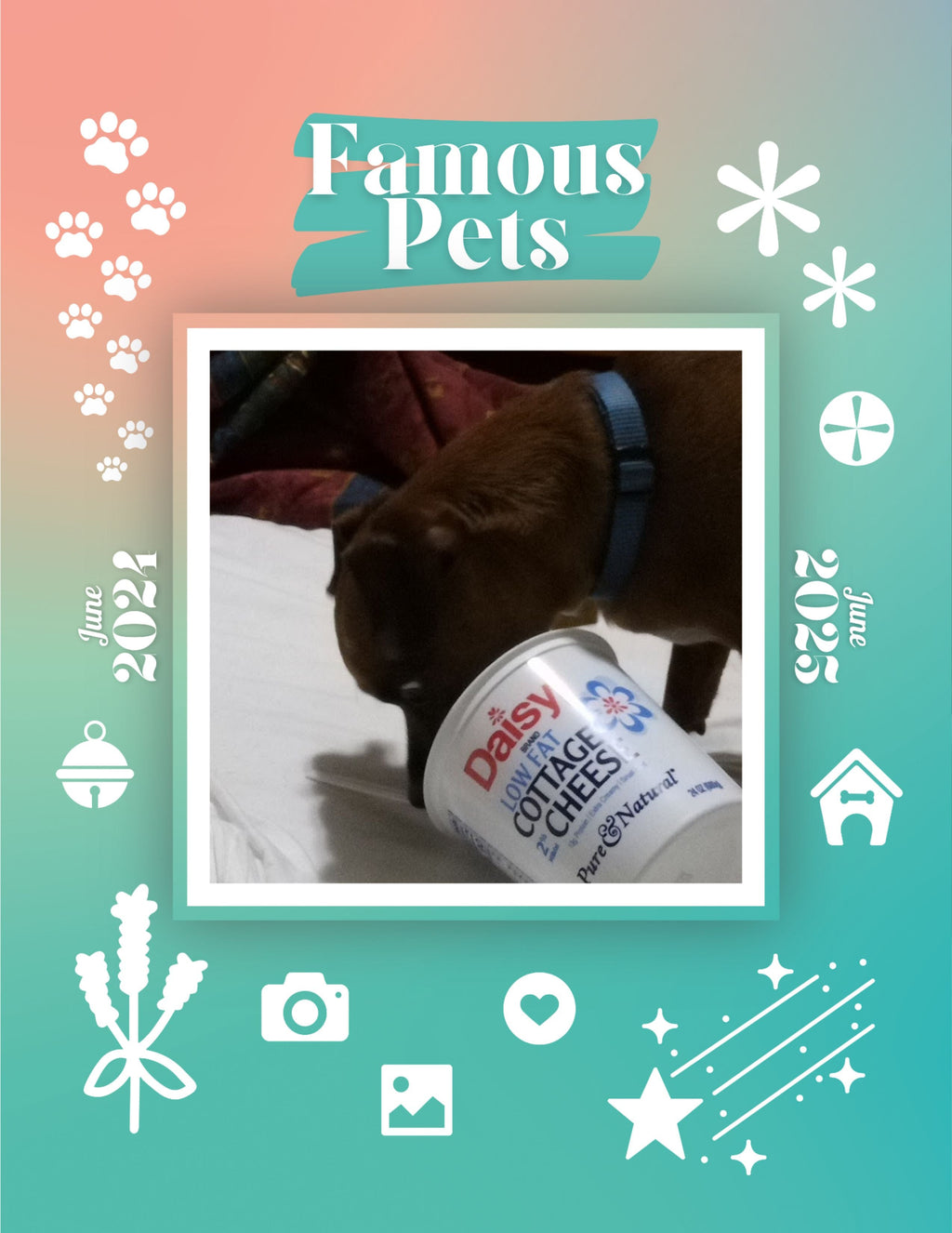Famous Pets: June 2024-June 2025 Wall Calendar (Pre-Order)