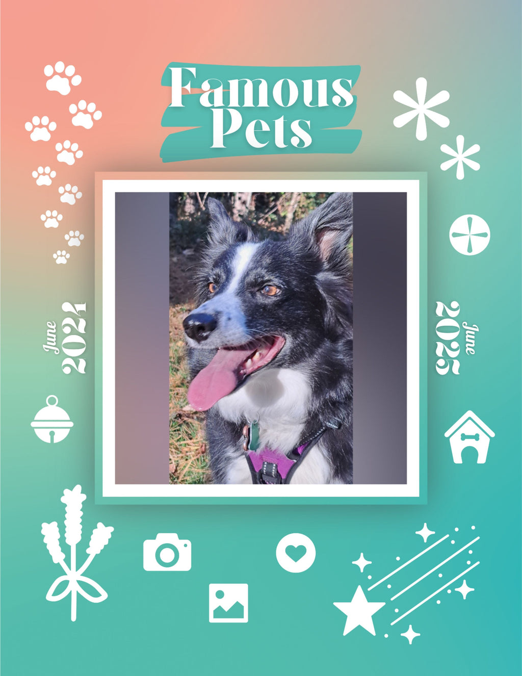 Famous Pets: June 2024-June 2025 Wall Calendar (Pre-Order)