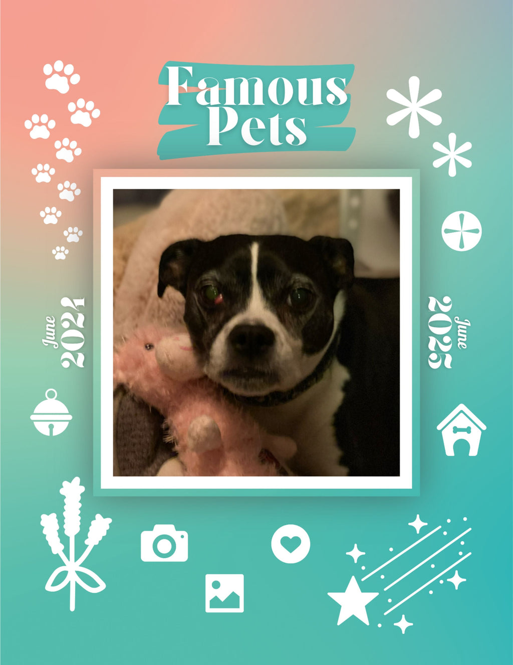Famous Pets: June 2024-June 2025 Wall Calendar (Pre-Order)