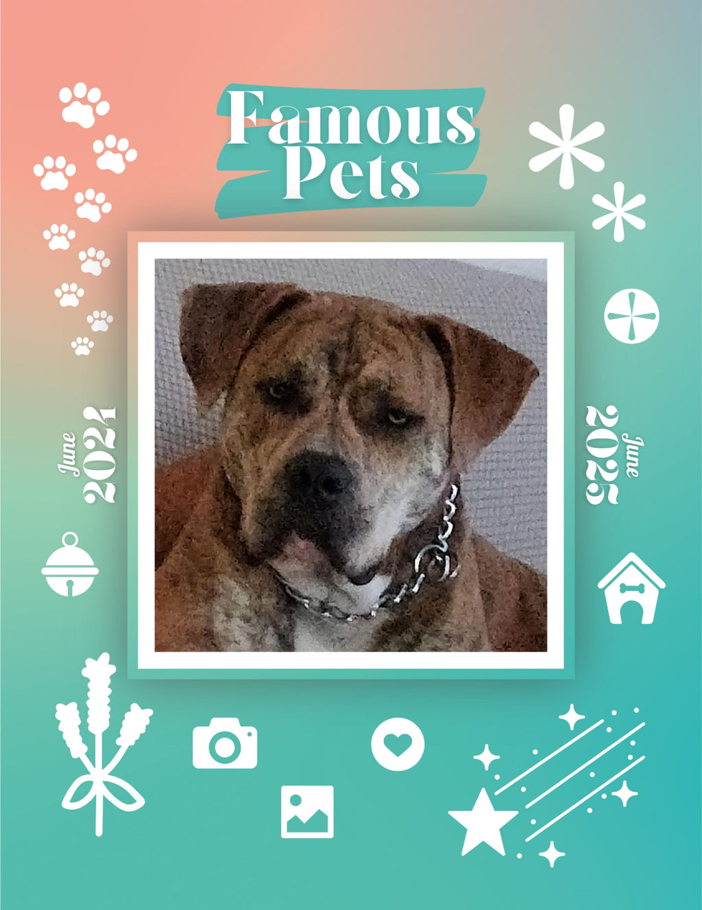 Famous Pets: June 2024-June 2025 Wall Calendar (Pre-Order)