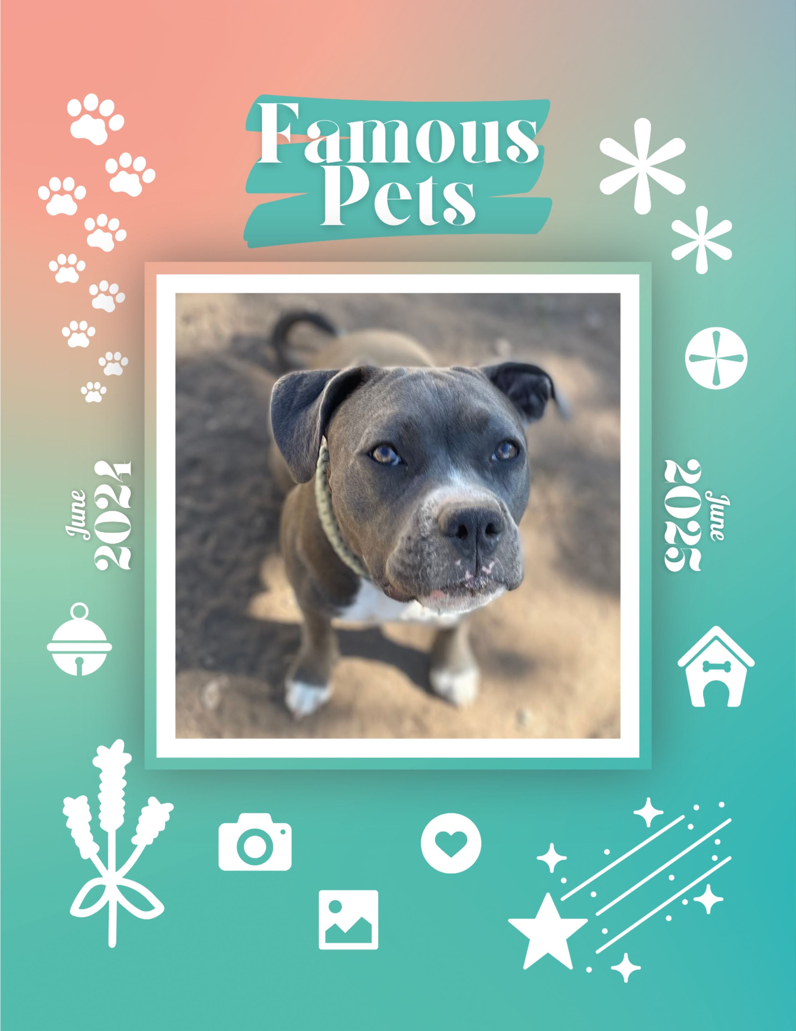 Famous Pets: June 2024-June 2025 Wall Calendar (Pre-Order)