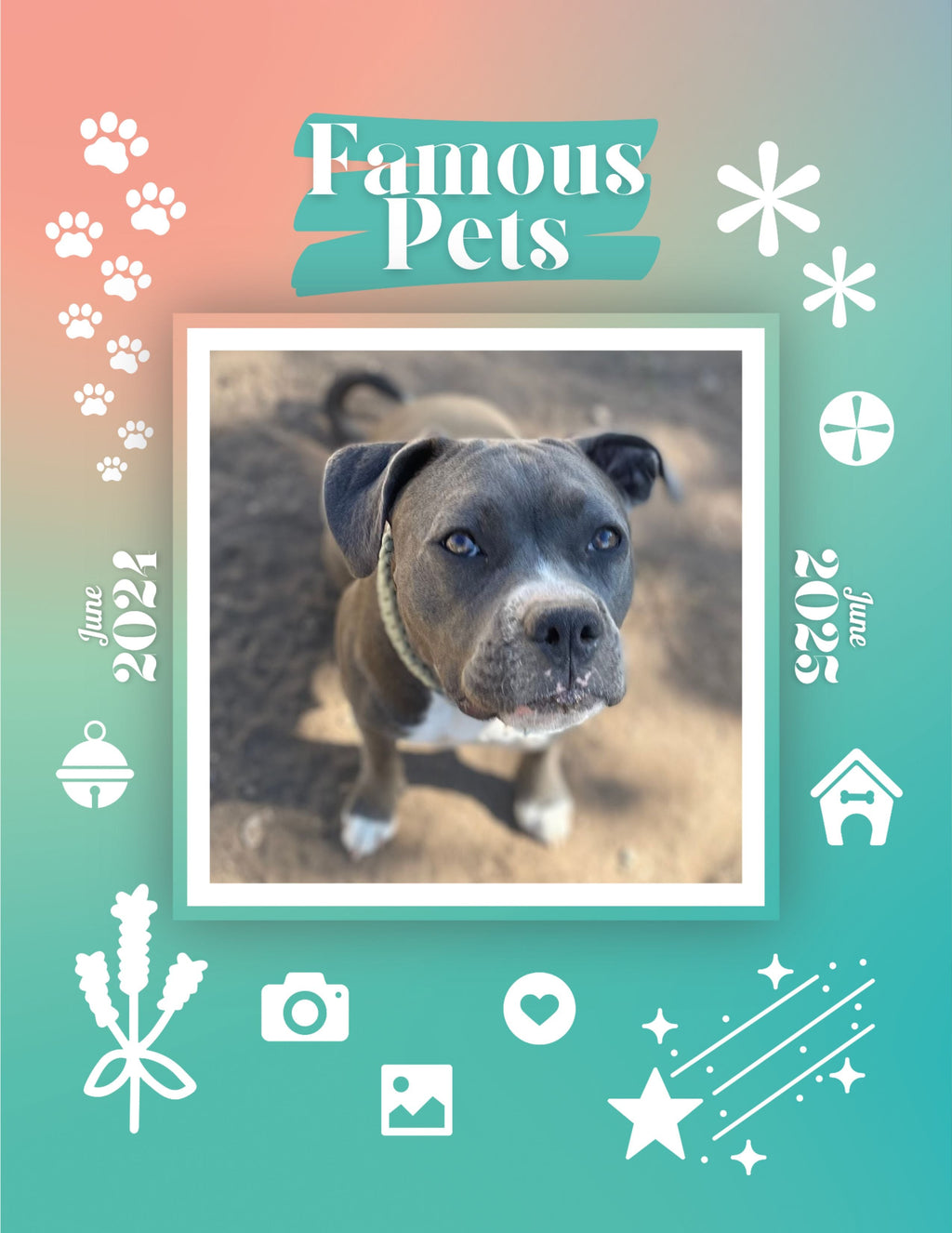 Famous Pets: June 2024-June 2025 Wall Calendar (Pre-Order)