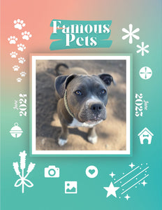 Famous Pets: June 2024-June 2025 Wall Calendar (Pre-Order)